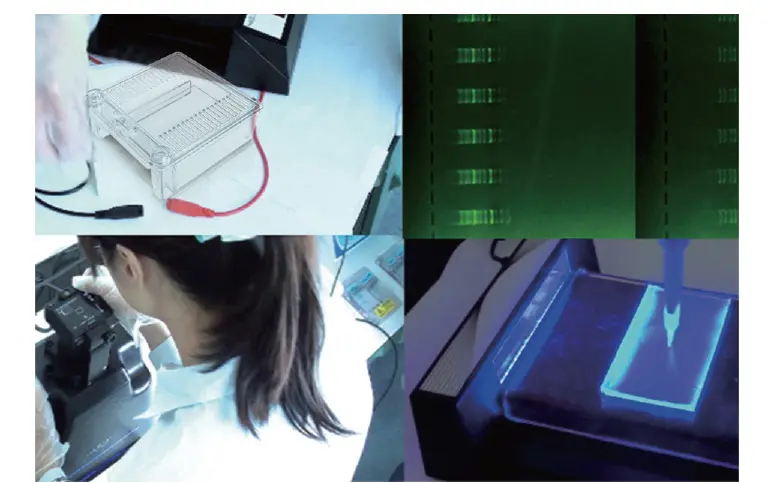 SafeBlue Darkroom viewer