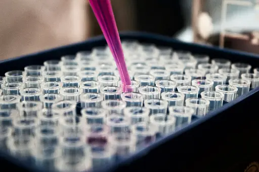 [40601ES10] GMyc-PCR Mycoplasma Test Kit - 10 Assays