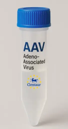 AP1S3 AAV Vector (Mouse) (CMV)