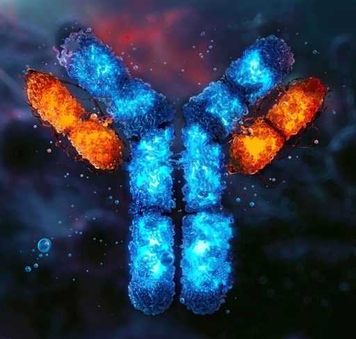 Bovine Carbonic anhydrase 2, CA2 ELISA KIT - 96tests