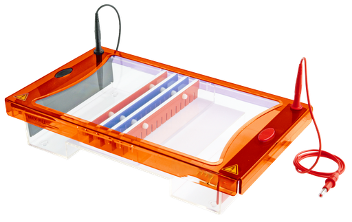 [SK-ELECTRO-1089] Complete Maxi Vertical Gel Electrophoresis Apparatus
