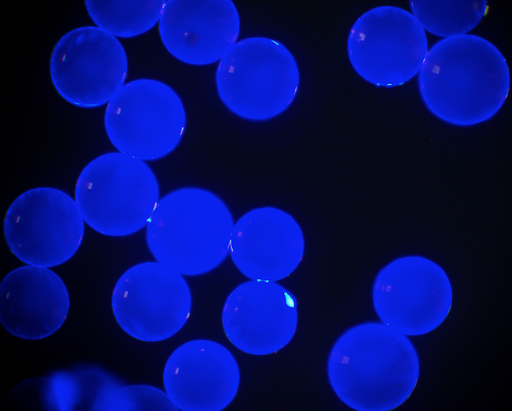 [AFB-7000-NH2] Blue PS Fluorescent Particles, 70-90 um-NH2